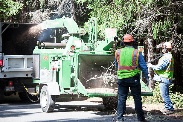 Best Seasonal Cleanup (Spring/Fall)  in Somerville, NJ